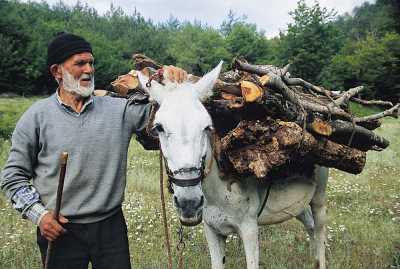 Yığılca